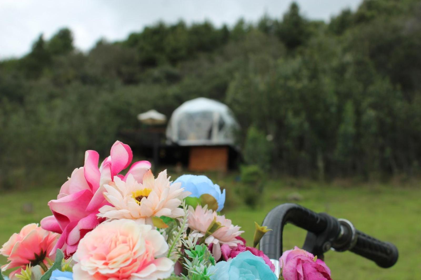 Glamping La