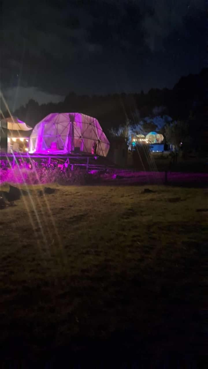 Glamping La Luxury tent *